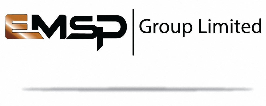 EMSP Group | Business Management Consultants