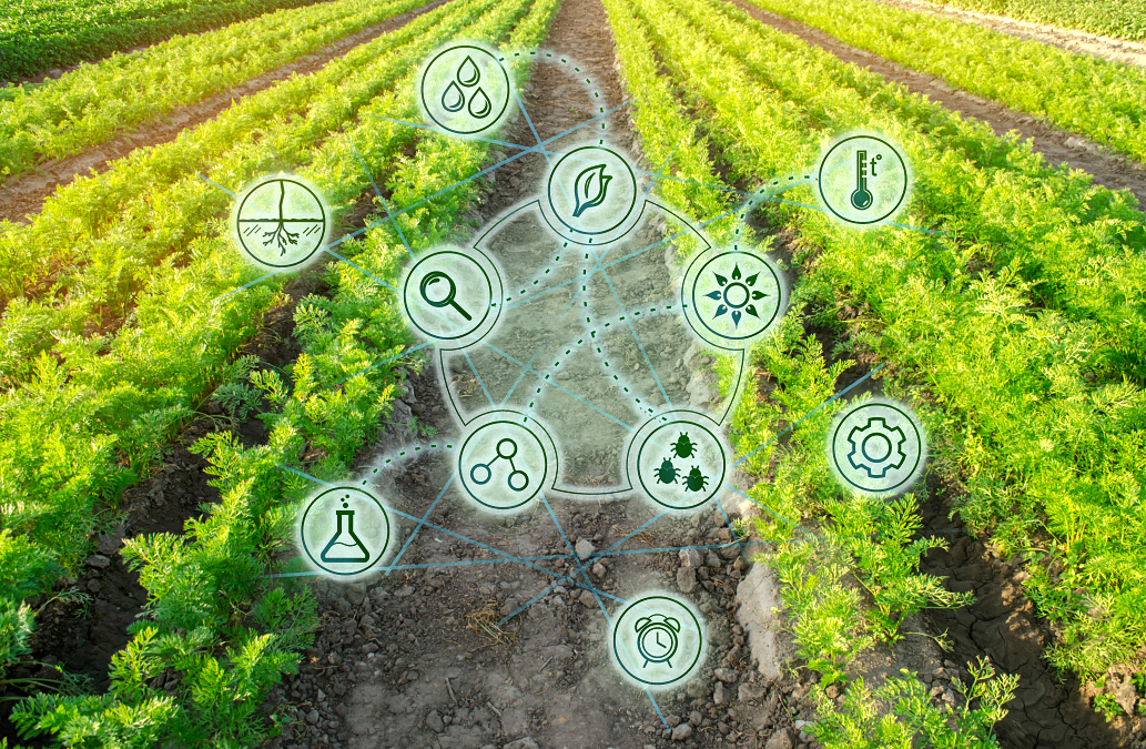 4. Agricultural Services -Core Industries - EMSP Group