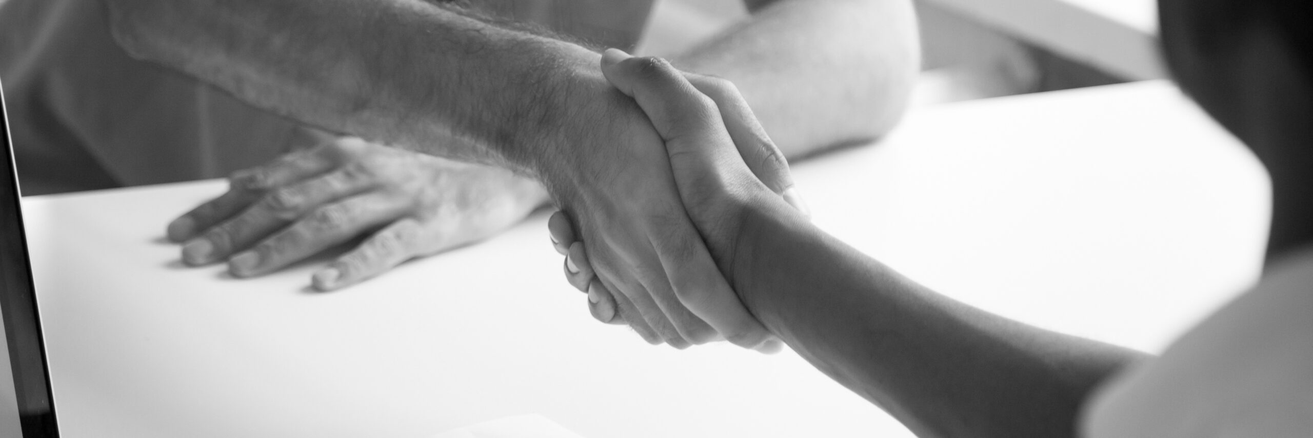 Horizontal image black and caucasian businessmen shaking hands express respect